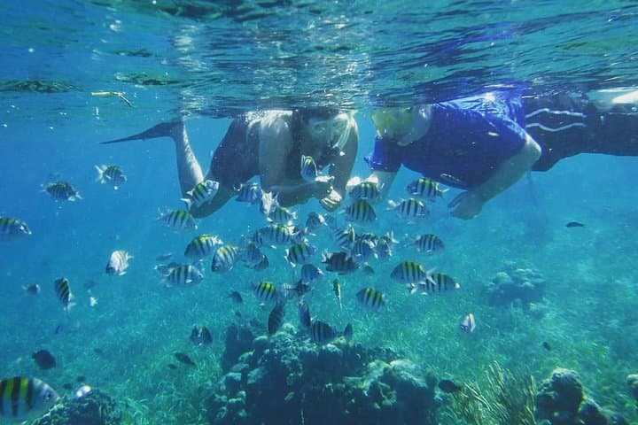 Roatan 2-Stop Snorkeling and Island City Tour — Reef, Rum & Hilltop Views