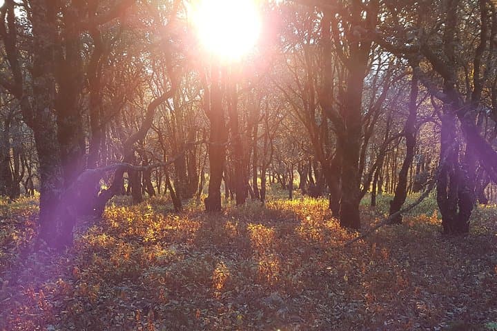 Horseback Riding and Overnight Camping on Querétaro's Highest Mountain