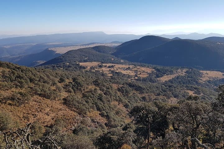 Horseback Riding and Overnight Camping on Querétaro's Highest Mountain photo 3