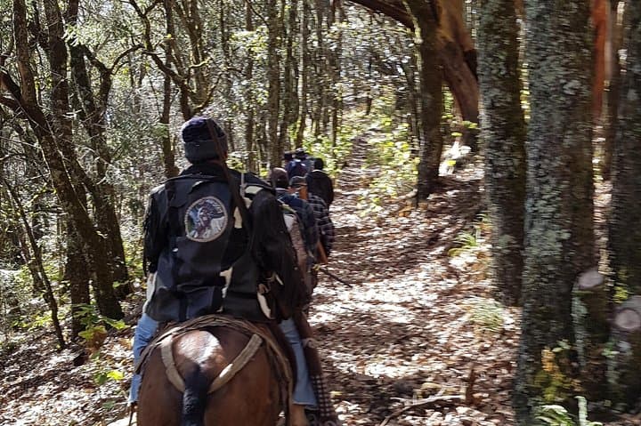 Horseback Riding and Overnight Camping on Querétaro's Highest Mountain photo 4