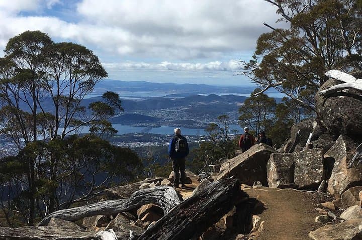 Kunanyi / Mt Wellington Explorer Bus: Summit Shuttle and Self-Guided Hike or Bike from Hobart photo 6
