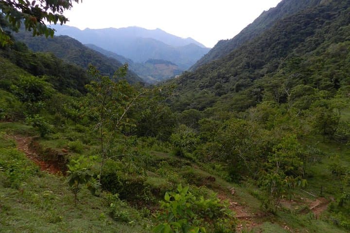 Trekking Ríos de Cristal: Melcocho & Río Verde Canyons from Medellín photo 4