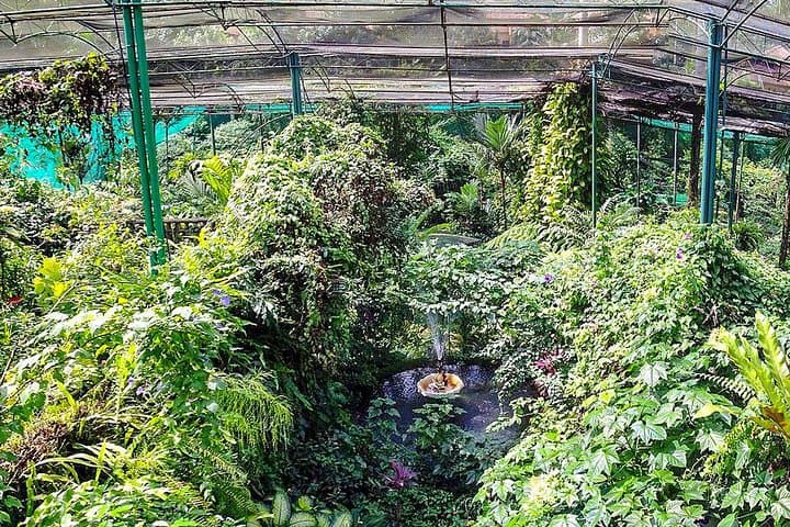 Explore Kuala Lumpur’s Lake Gardens: Bird Park, Butterfly Park & Orchid House Tour photo 3