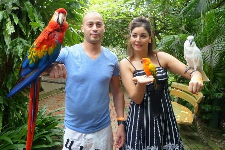 Explore Kuala Lumpur’s Lake Gardens: Bird Park, Butterfly Park & Orchid House Tour photo 6