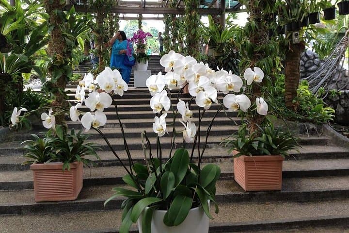 Inside KL's Bird Park and Butterfly Farm: Half-Day Nature Tour from Kuala Lumpur photo 4