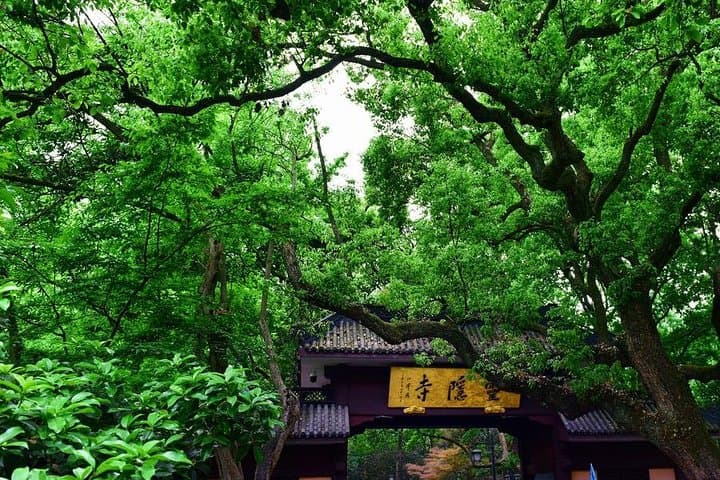 One-Day Hangzhou Private Tour from Shanghai — West Lake, Lingyin Temple & Six Harmonies photo 2