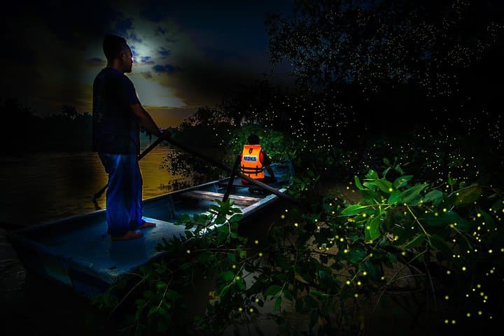 Kuala Selangor Fireflies Boat Tour with Seafood Dinner