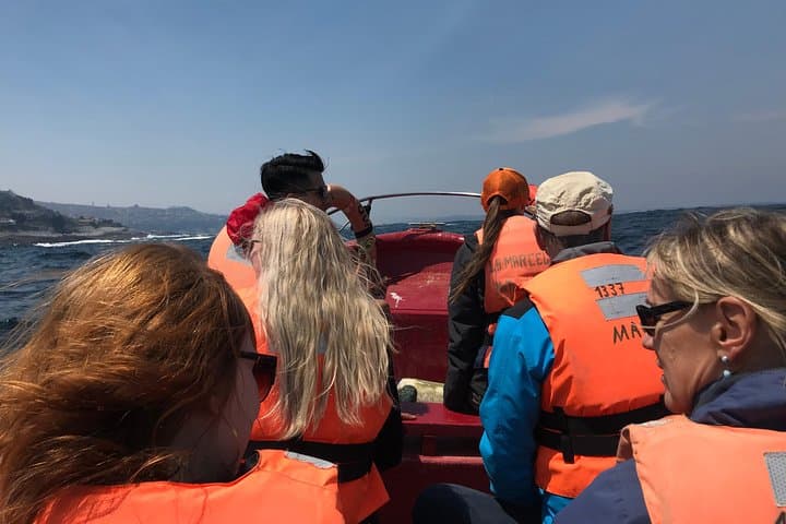 Valparaiso Penguin Boat Trip, Concon Sandboarding & Paragliding Day Tour photo 5