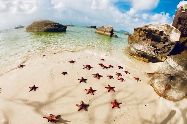 Phu Quoc North Kayaking & Starfish Beach Day Tour