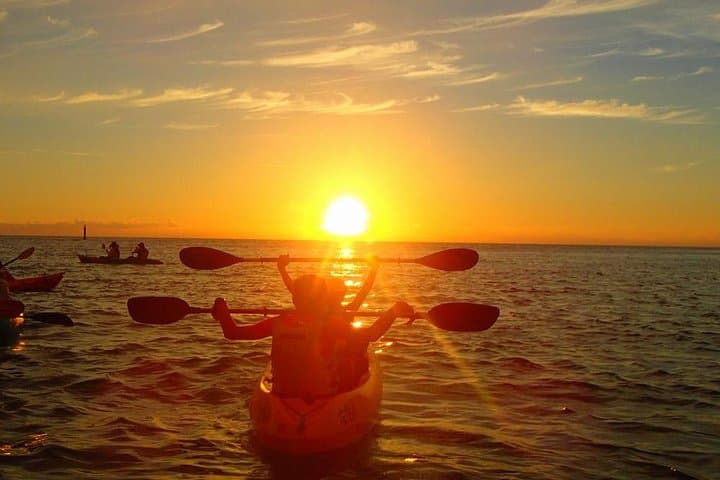 Sunset Kayak Tour in Okinawa: Mangroves to Open Sea photo 6