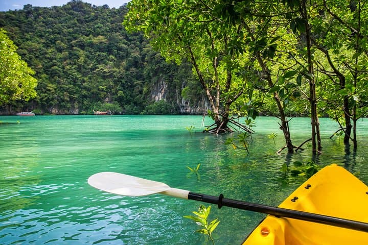 Krabi Secret Romantic Kayak and Secluded Beach Picnic with Forest Hike photo 6