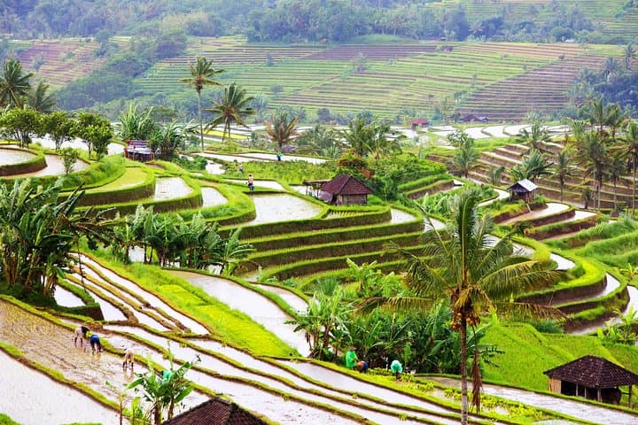 Custom Private Bali Shore Excursion — Ubud Temples, Waterfalls & Beaches in One Day photo 5