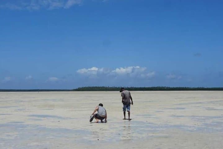 Mida Creek Boardwalk and Canoa Ride — Watamu Mangrove Canoe & Sunset Wildlife Tour photo 3