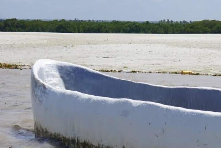 Mida Creek Boardwalk and Canoa Ride — Watamu Mangrove Canoe & Sunset Wildlife Tour photo 4