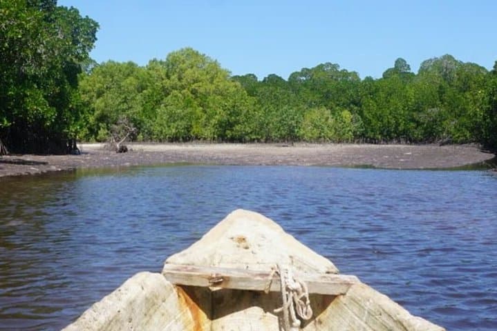 Mida Creek Boardwalk and Canoa Ride — Watamu Mangrove Canoe & Sunset Wildlife Tour