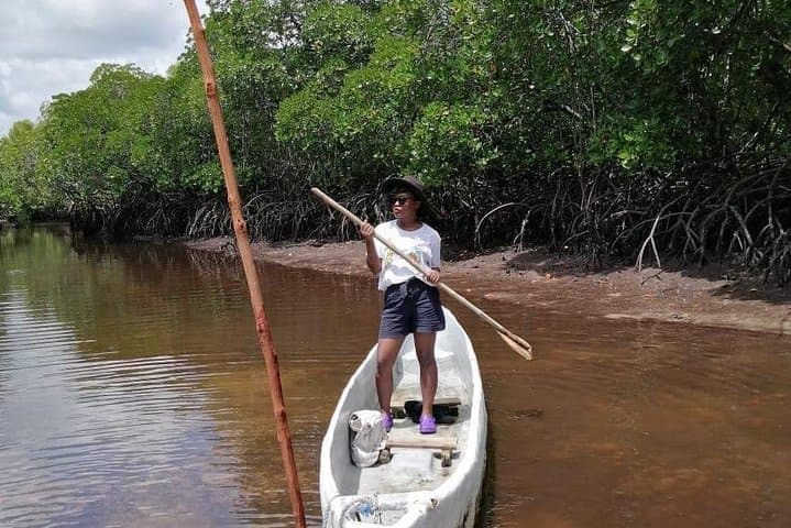 Mida Creek Boardwalk and Canoa Ride — Watamu Mangrove Canoe & Sunset Wildlife Tour photo 5