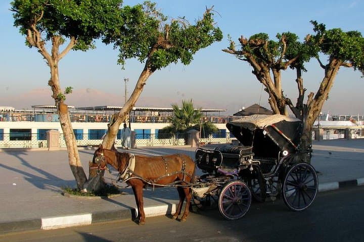 Horse Carriage Tour in Luxor — Nile Corniche & City Culture photo 3
