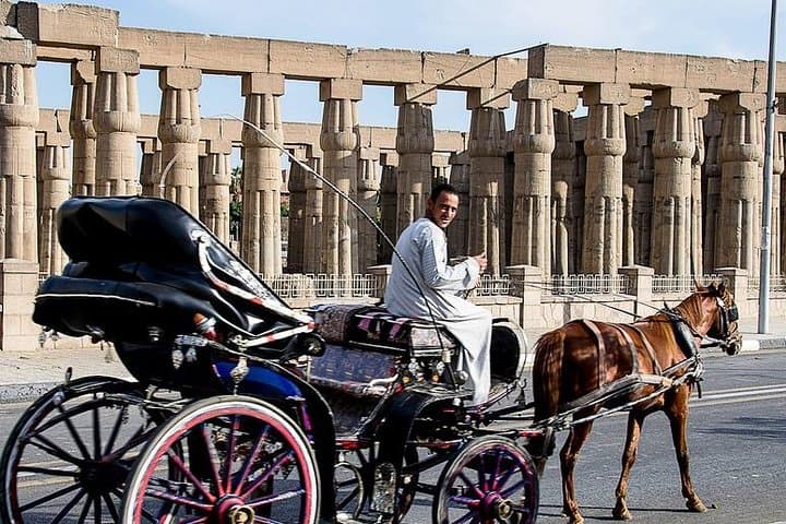 Horse Carriage Tour in Luxor — Nile Corniche & City Culture photo 4