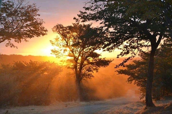 Sunrise Photography at Victoria Falls: Private Guided Tour photo 5