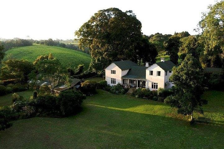 Kiambethu Tea Farm Day Tour from Nairobi — Limuru Tea Fields, Forest Walk & Lunch
