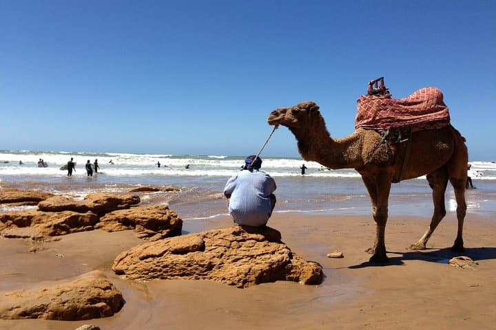 Essaouira Day Trip from Marrakech: Medina, Argan Cooperatives & Tree-Goats photo 4