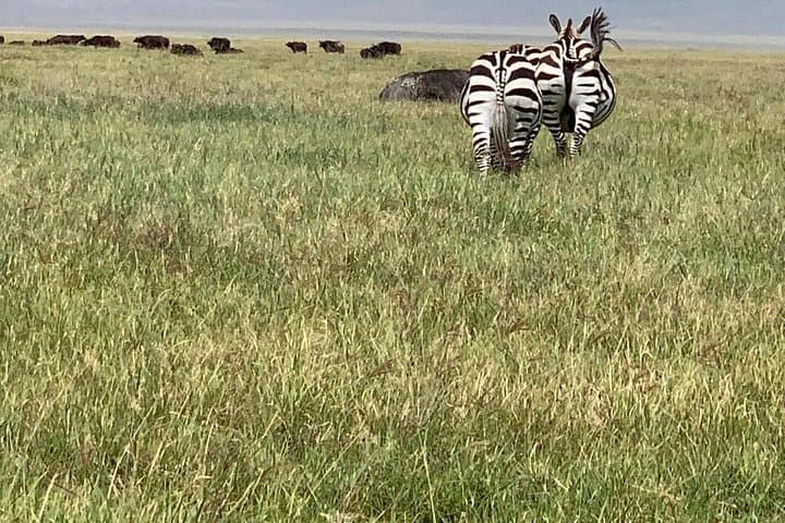 4-Day Camping Safari to Serengeti & Ngorongoro from Arusha photo 4