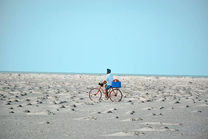 Sri Lanka North Tour: 8-Day Cultural, Wildlife & Coastal Adventure in Jaffna, Mannar & Trincomalee photo 5