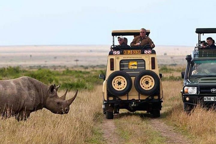 Explore Nairobi National Park, Giraffe Center & Kazuri Beads Factory on a Guided Day Tour photo 1