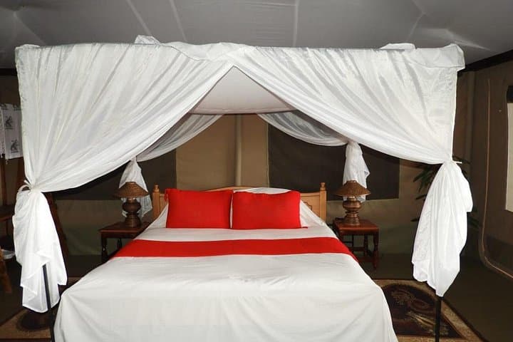 3-Day Amboseli Safari: Kilimanjaro-Backed Game Drives and Maasai Encounters photo 2