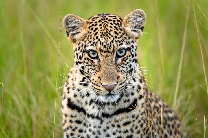 Two-Day Safari: Akagera National Park Game Drives & Lake Ihema Boat Trip photo 6