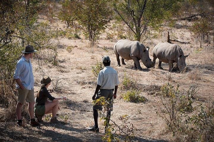 Private Rhino Walking Safari from Livingstone — Track White Rhino on Foot photo 1