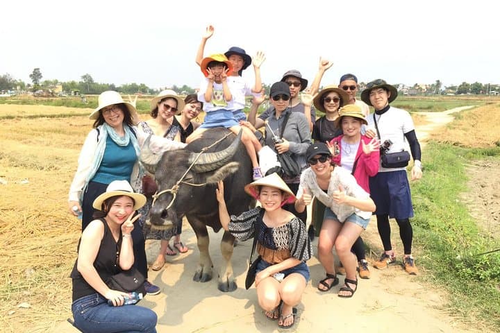 Hoi An Countryside Cycling, Buffalo Ride & Bamboo Basket Boat Experience