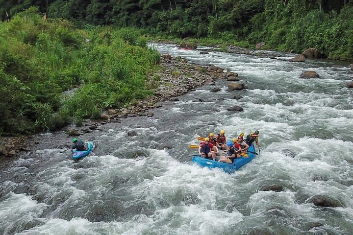 Sarapiqui River Whitewater Rafting Class III-IV: 3-Hour Jungle Rapids Near San Jose photo 2