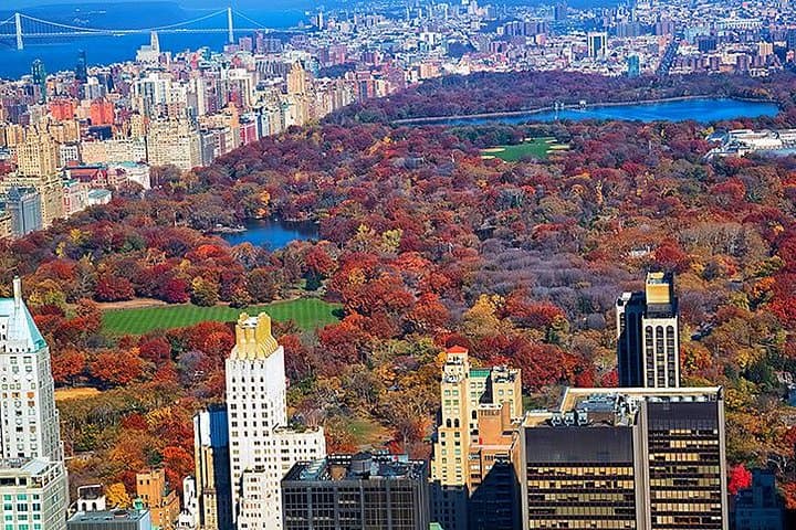 Explore New York by Subway and Bus: Private Guided City Orientation photo 3