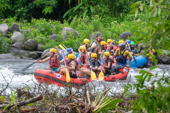 Sarapiqui River Whitewater Rafting Class III-IV: 3-Hour Jungle Rapids Near San Jose photo 3