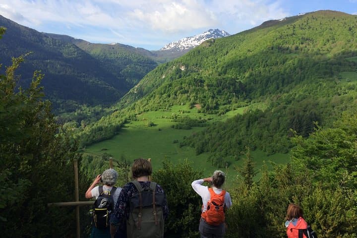 Cathar Country Day Tour — Mirepoix, Montségur & Camon from Carcassonne