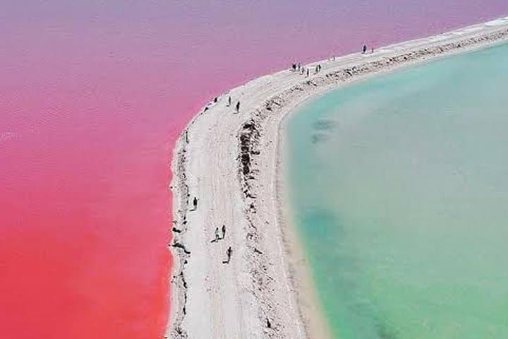 Las Coloradas & Río Lagartos: Pink Lakes, Mangroves, and Mayan Mud Baths from Cancun photo 2