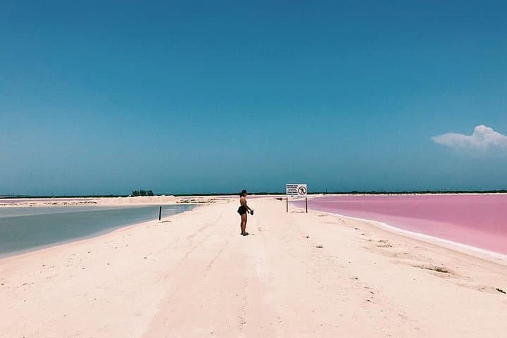 Las Coloradas & Río Lagartos: Pink Lakes, Mangroves, and Mayan Mud Baths from Cancun photo 3