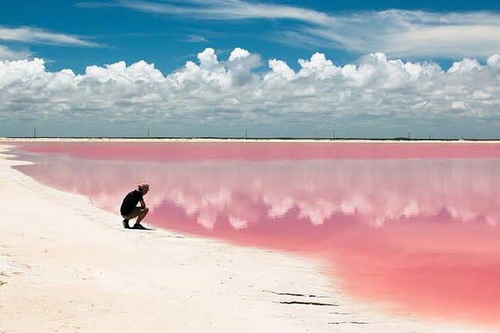 Las Coloradas & Río Lagartos: Pink Lakes, Mangroves, and Mayan Mud Baths from Cancun photo 1