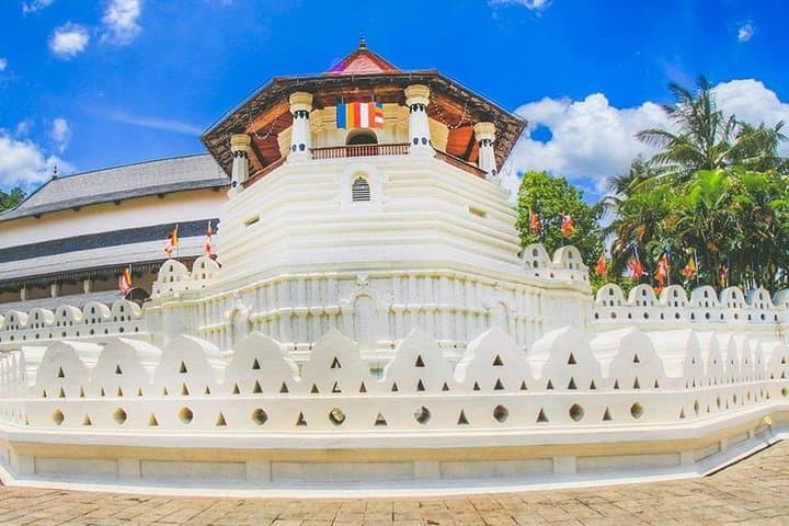8-Day Classic Sri Lanka Tour: Sigiriya, Kandy, Tea Country & Yala Safari photo 4