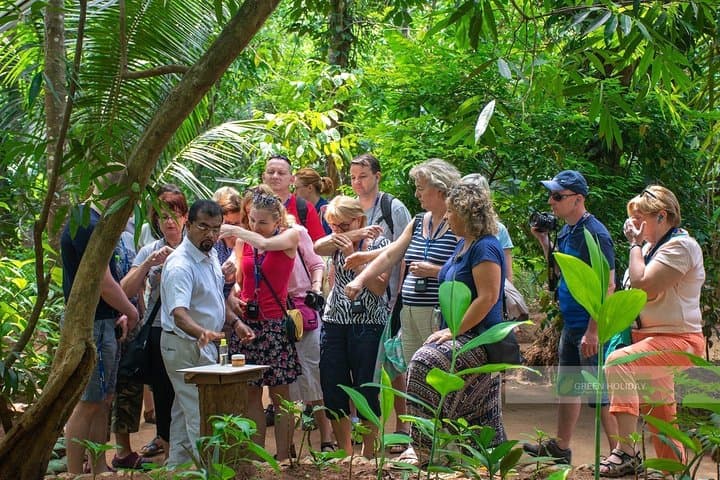 Colombo Spice Garden & Tea Factory Shore Excursion: Tea Plucking, Tastings & Spice Tour