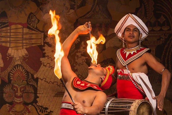 8-Day Classic Sri Lanka Tour: Sigiriya, Kandy, Tea Country & Yala Safari