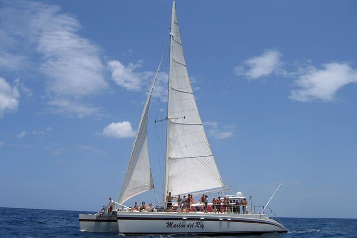 Private Catamaran Tour on Marlin del Rey — Playa Flamingo Sailing & Snorkel Adventure