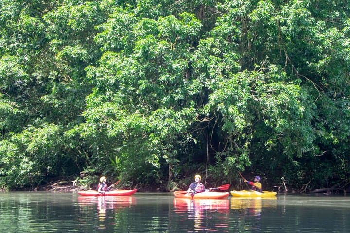 Sarapiquí River Jungle Kayak: 12 km Beginner-Friendly Kayak Descent photo 2