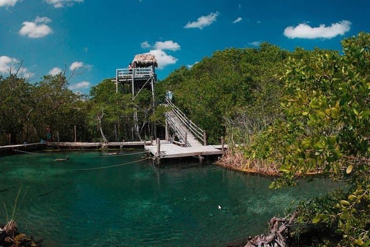 Day Trip to Holbox & Yalahau Cenote from Cancún — Holbox Plus Tour photo 6