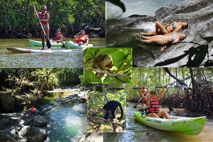 Damas Island Mangrove Kayak Tour — Quepos Wildlife & Boat Option photo 2