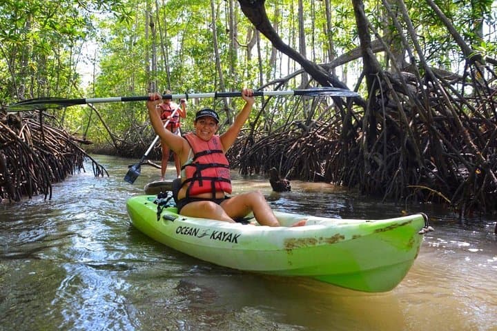 Damas Island Mangrove Kayak Tour — Quepos Wildlife & Boat Option photo 1