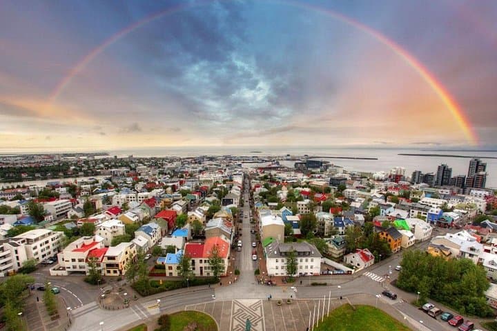 Reykjavik City Highlights and Blue Lagoon Private Day Tour