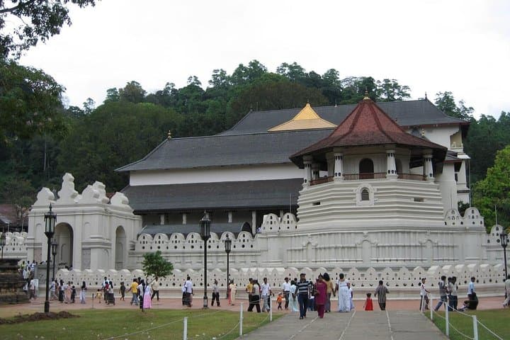 Kandy Day Trip: Temple of the Tooth, Peradeniya Gardens & Tea Experience photo 2