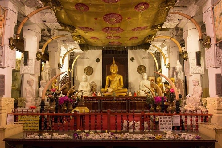 Kandy Day Trip: Temple of the Tooth, Peradeniya Gardens & Tea Experience photo 3